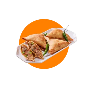 Spicy Samosa